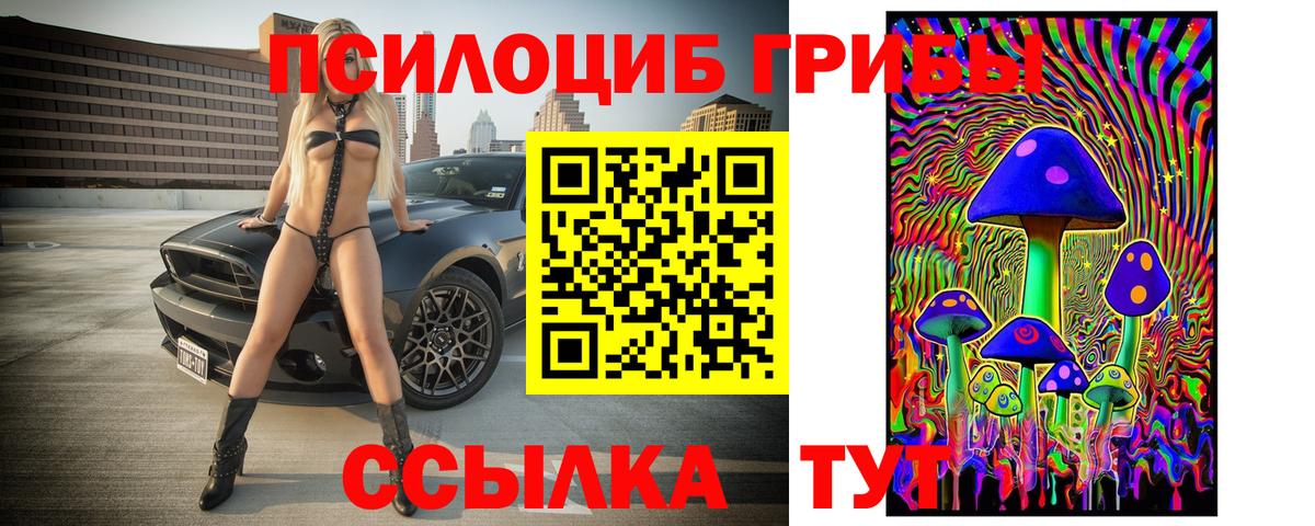 Псилоцибиновые грибы Cubensis  Вход с VPN  Нижневартовск 