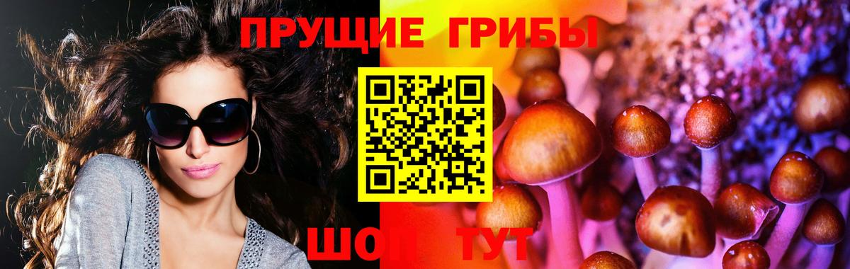 Галлюциногенные грибы Psilocybe Нижневартовск